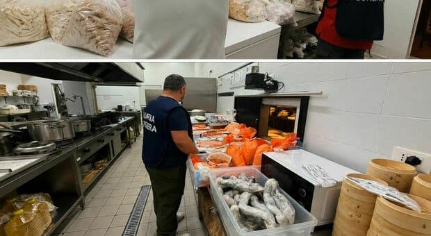 Sequestrati 100 quintali di pesce non conservato correttamente nel Lazio: i controlli della Guardia Costiera 