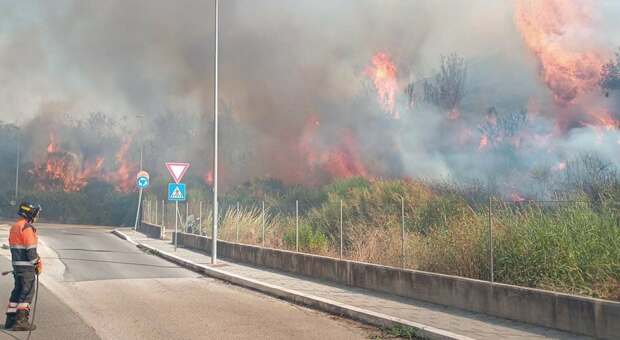  Incendio a Monterotondo, fiamme vicino alla stazione dei treni 
