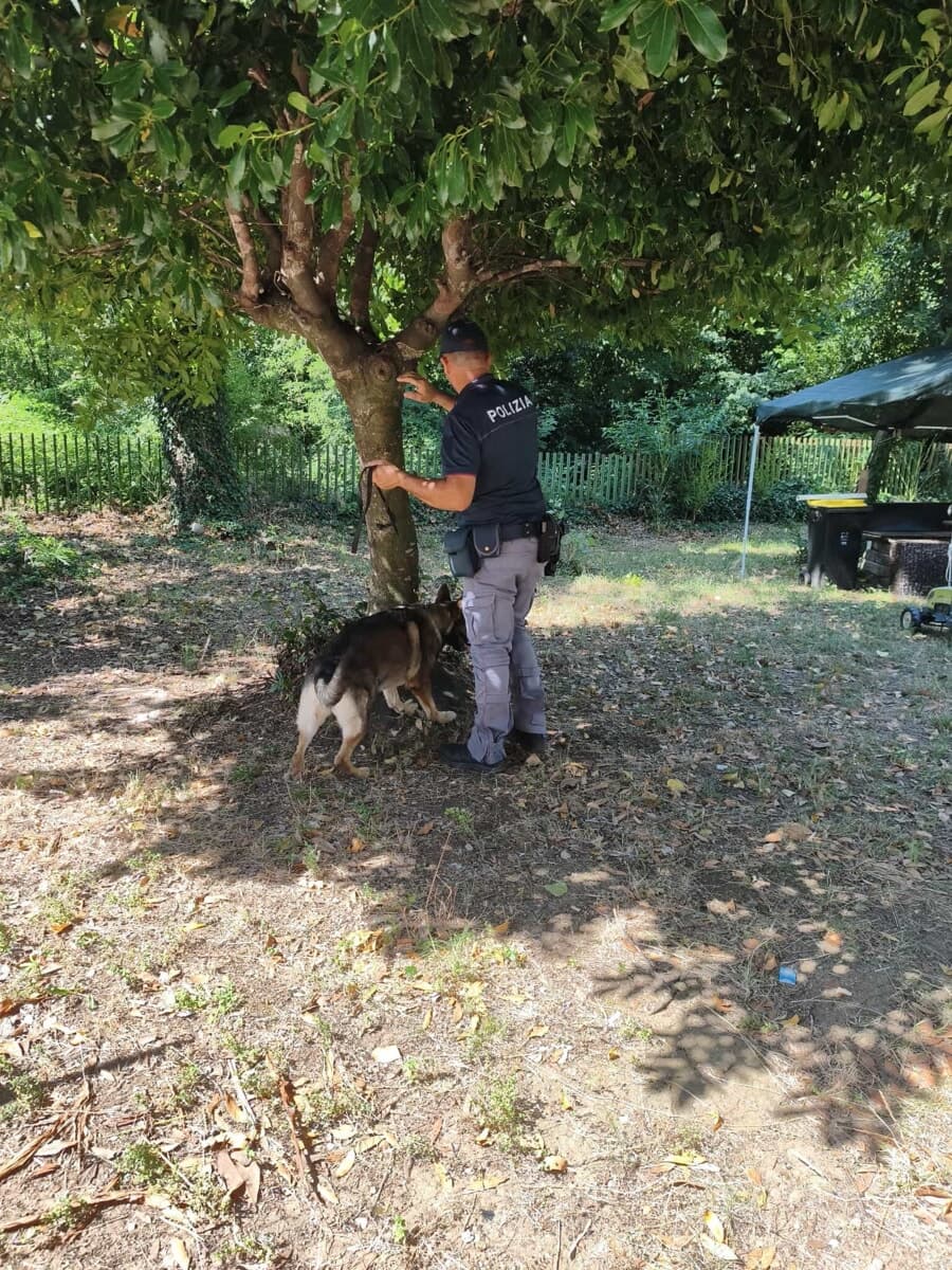 Frosinone, controlli ad alto impatto nelle case popolari: sequestrata droga, sgomberati tre alloggi occupati abusivamente