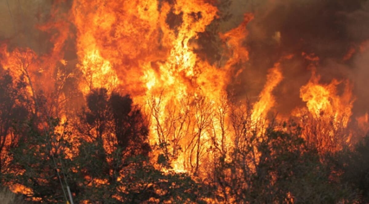 Frosinone, ordinanza anti-incendi fino al 15 ottobre: divieti, obblighi e multe fino a 500 euro