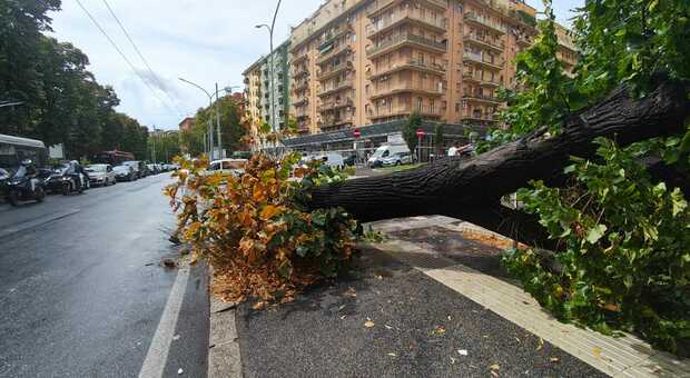  Violenta bomba d'acqua su Roma: città in tilt, allagamenti da Ponte Milvio a Prati Fiscali. Evacuato un asilo 