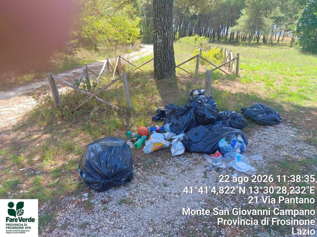 Nonostante gli incivili, il Bosco Morroni continua a crescere