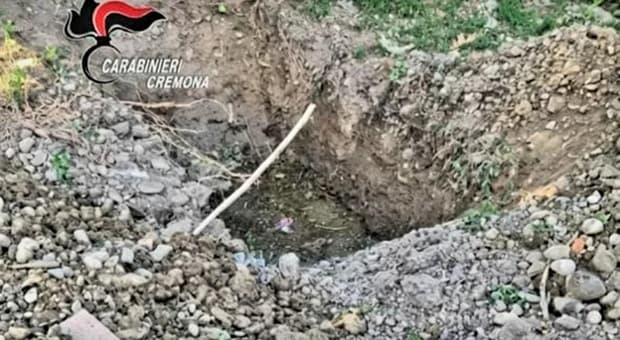  Spara e uccide i suoi cani, poi li seppellisce in giardino: orrore a Cremona. «Abbaiavano troppo»? 