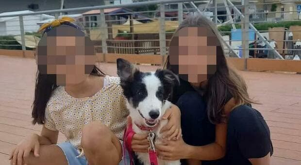  Sorelle ritrovate, vittime dei conflitti tra adulti (come per la famiglia del bosco) 