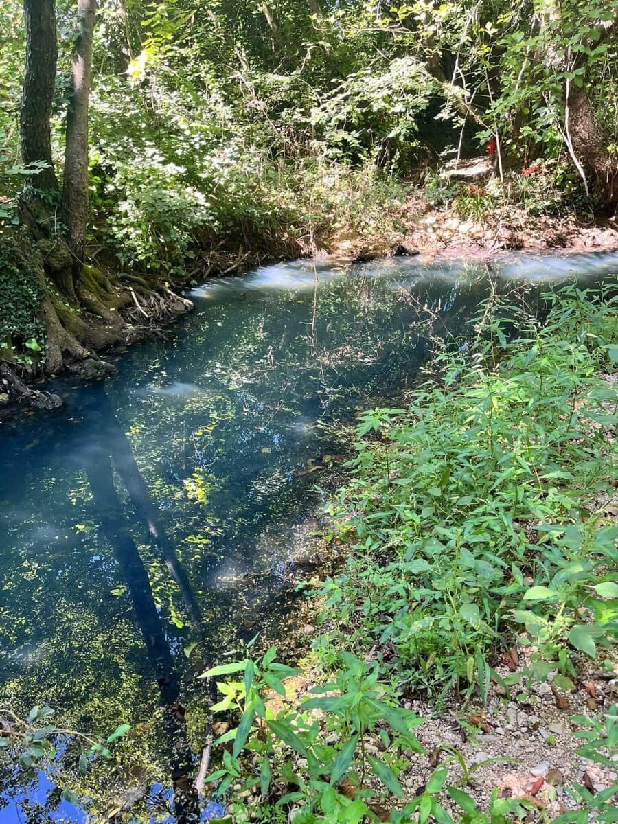 Fiume Cosa, l’allarme di Legambiente: “Pozze maleodoranti e sedimenti neri”