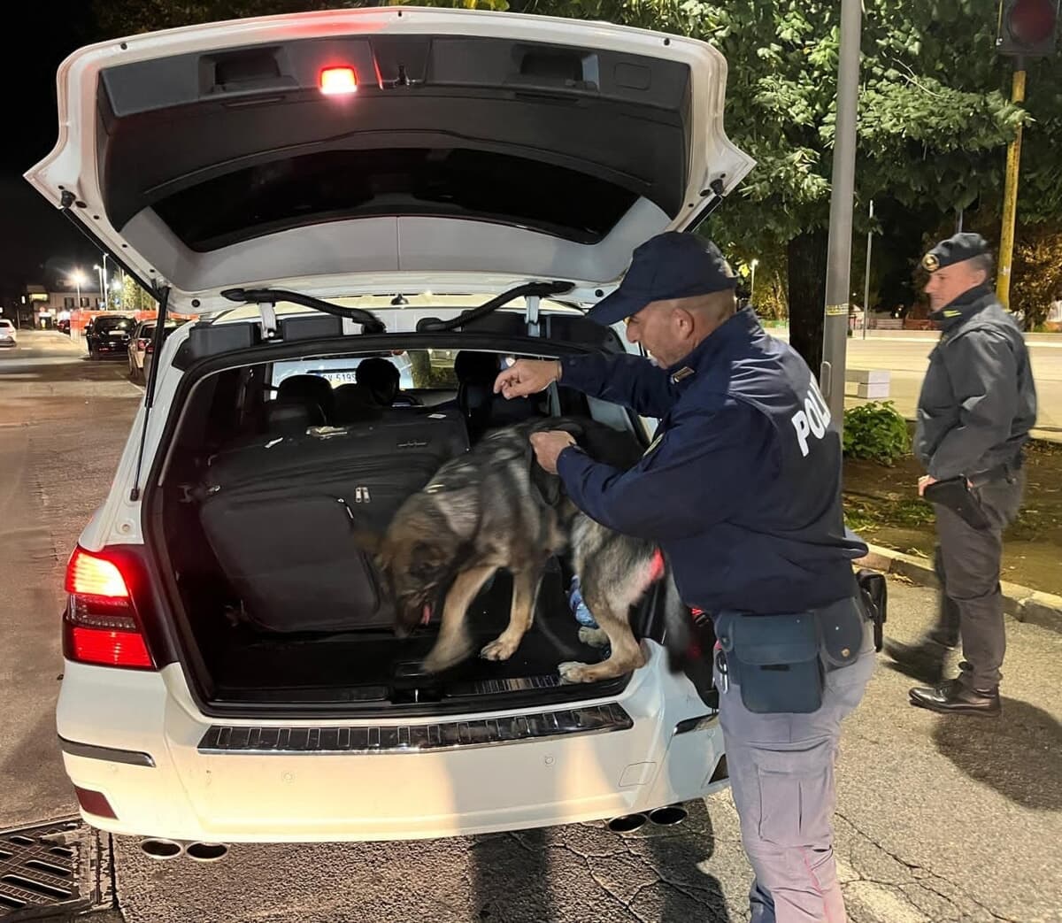 Frosinone, maxi controlli interforze: sequestrati oltre 220 grammi di droga nelle case popolari