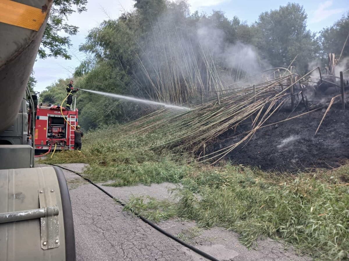 Maxi incendio tra Paliano e Colleferro, tre roghi in poche ore: sospetta mano dei piromani