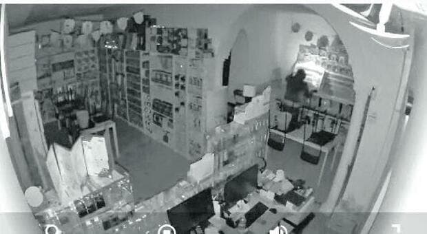  Ladispoli, ladri di Pokémon scappano con le figurine. «Un furto da 80mila euro» 