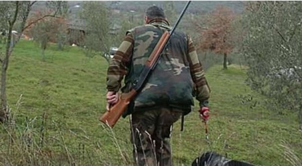  Cacciatore spara e uccide un cane, dovrà risarcire la proprietaria con 5 mila euro. «Condotta imprudente della proprietaria»? 