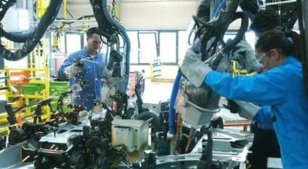  Lavoro, le professioni più richieste in Italia nel 2026: dal direttore AI al bioinformatico, l'elenco completo 