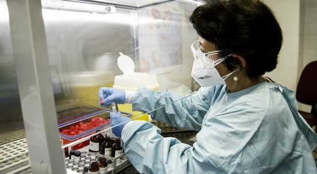  Covid, la variante Stratus spinge i contagi nel Regno Unito: quali sono i sintomi del ?virus americano? 