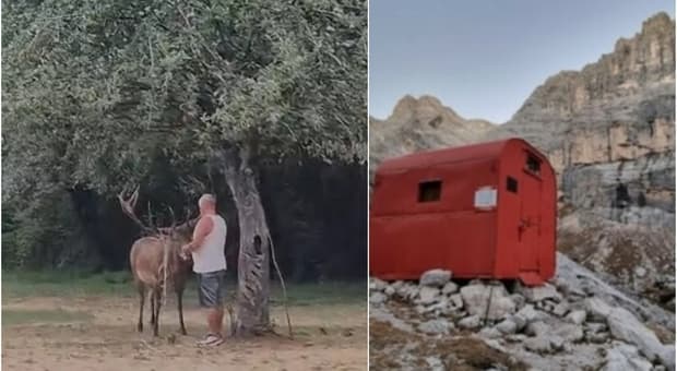  Turisti cafoni, dai selfie con i cervi ai soccorsi usati come taxi: l'estate degli eccessi tra montagne e città 