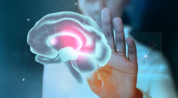  Alzheimer, la pelle «rivela indizi per una diagnosi precoce». Svolta per lo screening in uno studio
 
 