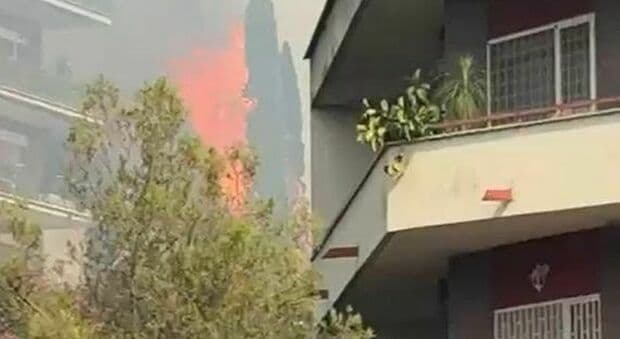  Roma, incendio a Villa Bonelli: «I cipressi di papà bruciati nel rogo. Li piantò il giorno della mia nascita» 