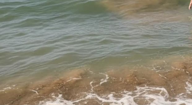  Macchie gialle in mare da Anzio a Torvaianica, Latina e Sabaudia: bagnanti in allarme. La spiegazione 