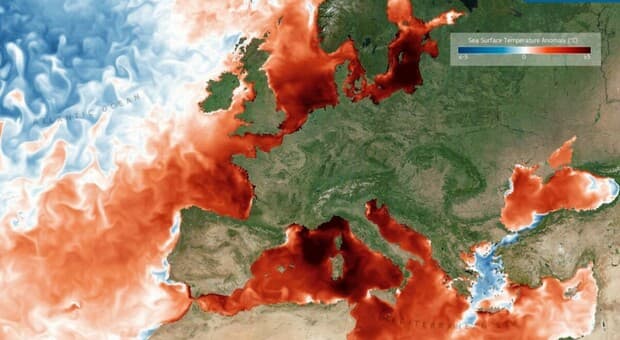  Mediterranneo bollente, temperature fino a 32°: aumento rischio nubifragi in estate e diffusione specie aliene. La mappa 