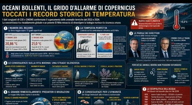  Caldo, la mappa del mare "bollente": i dati Copernicus e gli impatti sugli ecosistemi marini (e sull'uomo) 