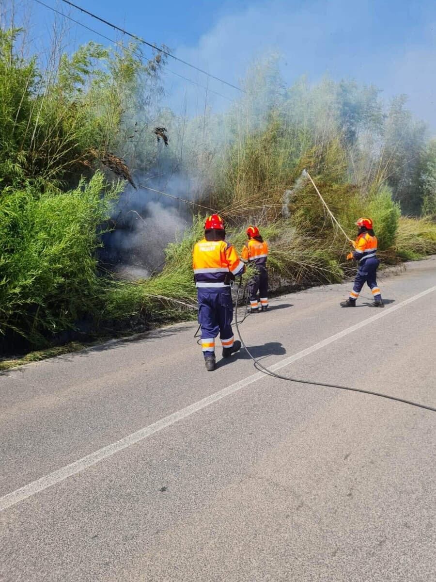 A Paliano l'incubo non finisce mai e la Selva continua a bruciare. "Quanto dovremo aspettare prima di fermare i piromani?"